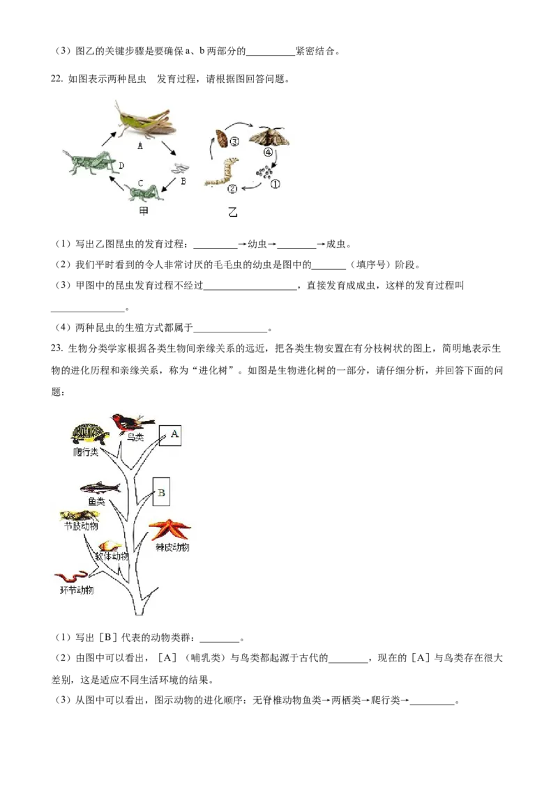 10八年级下学期期末生物试题（原卷版）_初中全科电子版试卷练习试题_生物_生物8下练习_人教生物8年级下期末试卷12份