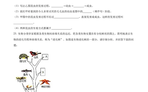 10八年级下学期期末生物试题（原卷版）_初中全科电子版试卷练习试题_生物_生物8下练习_人教生物8年级下期末试卷12份