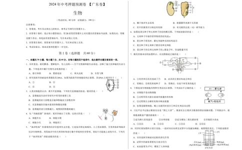 2024年中考押题预测卷（广东卷）-生物（考试版）A3_初中全科电子版试卷练习试题_生物_2024中考模拟题生物(1)_押题预测