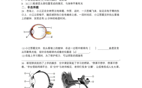 4.6.1人体对外界环境的感知-（人教版）（原卷版）_初中全科电子版试卷练习试题_生物_生物人教版7下练习_人教生物7年级下课时练习40份