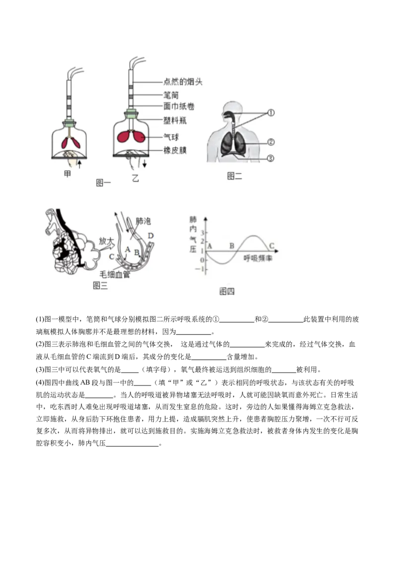 2024年中考押题预测卷01（内蒙古卷）-生物（考试版）A4_初中全科电子版试卷练习试题_生物_2024中考模拟题生物(1)_押题预测