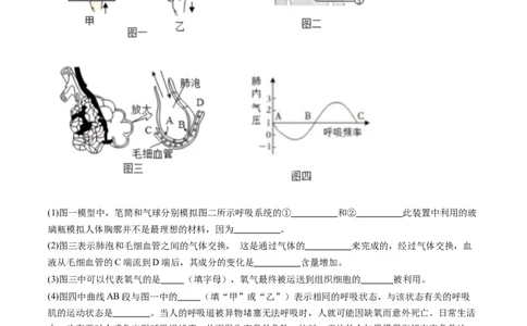 2024年中考押题预测卷01（内蒙古卷）-生物（考试版）A4_初中全科电子版试卷练习试题_生物_2024中考模拟题生物(1)_押题预测