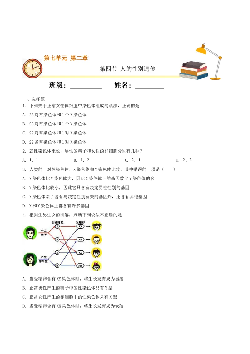 7.2.4人的性别遗传（基础练）-（人教版）（原卷版）_初中全科电子版试卷练习试题_生物_生物8下练习_人教生物8年级下课时练习51份
