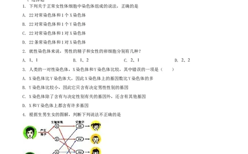 7.2.4人的性别遗传（基础练）-（人教版）（原卷版）_初中全科电子版试卷练习试题_生物_生物8下练习_人教生物8年级下课时练习51份