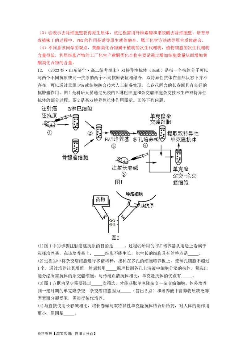 专题23细胞工程（解析版）_通用版（老高考）复习资料_2024年复习资料_完备战2024年高考生物一轮复习抢分特训（全国通用）_教师版（含答案解析）