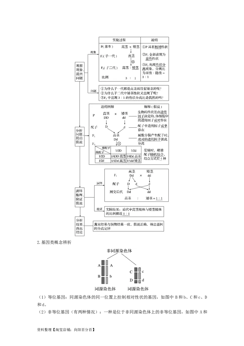 专题14基因的分离定律（串讲）（解析版）_新高考复习资料_2024年新高考复习资料_一轮复习资料_完备战2024年高考生物一轮复习串讲精练（新高考专用）_串讲_解析版