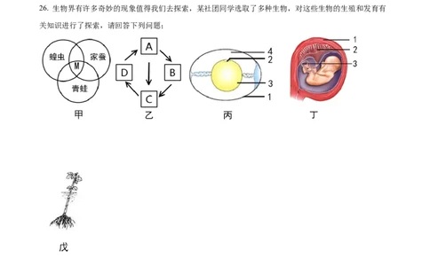 09八年级下学期期末生物试题（原卷版）_初中全科电子版试卷练习试题_生物_生物8下练习_人教生物8年级下期末试卷12份