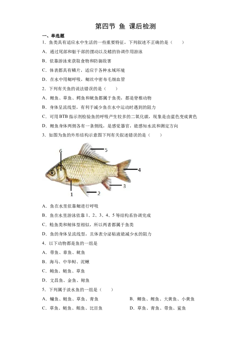 5.1.4鱼（练习）（原卷版）_初中全科电子版试卷练习试题_生物_生物8上练习_人教生物8年级上课时练习37份_第1套八年级生物上册课时练习（人教版）16份