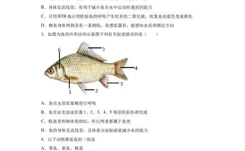 5.1.4鱼（练习）（原卷版）_初中全科电子版试卷练习试题_生物_生物8上练习_人教生物8年级上课时练习37份_第1套八年级生物上册课时练习（人教版）16份