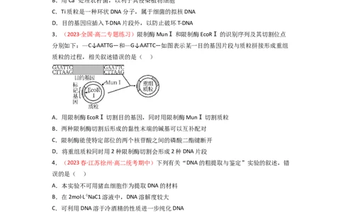 专题18基因工程（原卷版）_新高考复习资料_2024年新高考复习资料_一轮复习资料_完备战2024年高考生物一轮复习重难点突破讲解与训练（新教材）_专题18基因工程