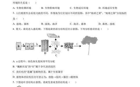 08八年级下学期期中生物试题（原卷版）_初中全科电子版试卷练习试题_生物_生物8下练习_人教生物8年级下期中试卷10份