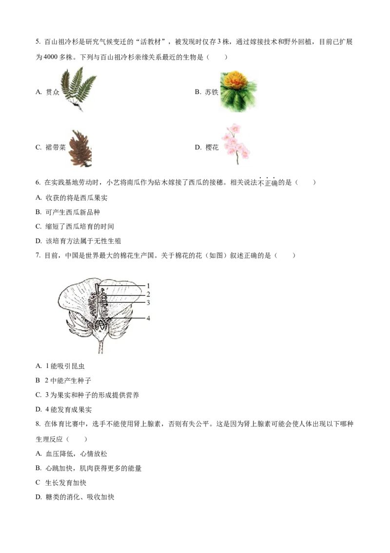 2025年山东省烟台市中考生物真题（原卷版）_山东历年中考真题_山东省2025中考题_烟台