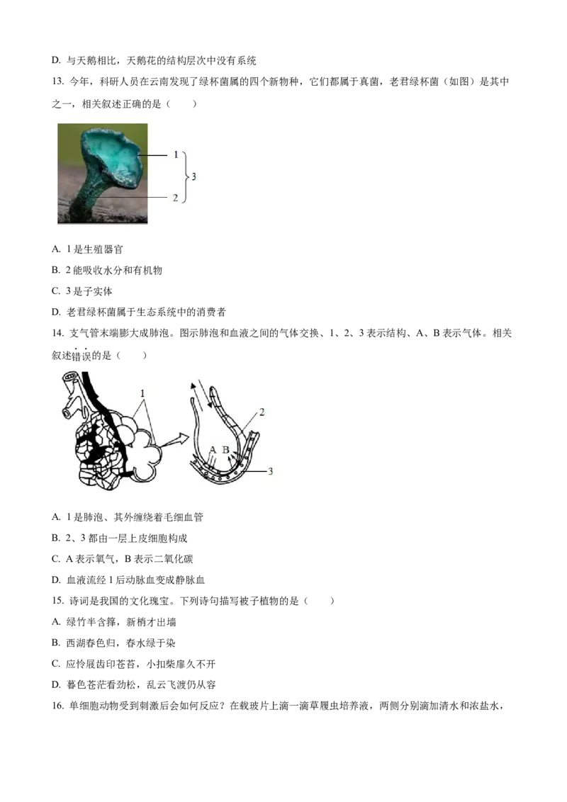 2025年山东省烟台市中考生物真题（原卷版）_山东历年中考真题_山东省2025中考题_烟台