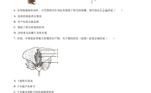 2025年山东省烟台市中考生物真题（原卷版）_山东历年中考真题_山东省2025中考题_烟台