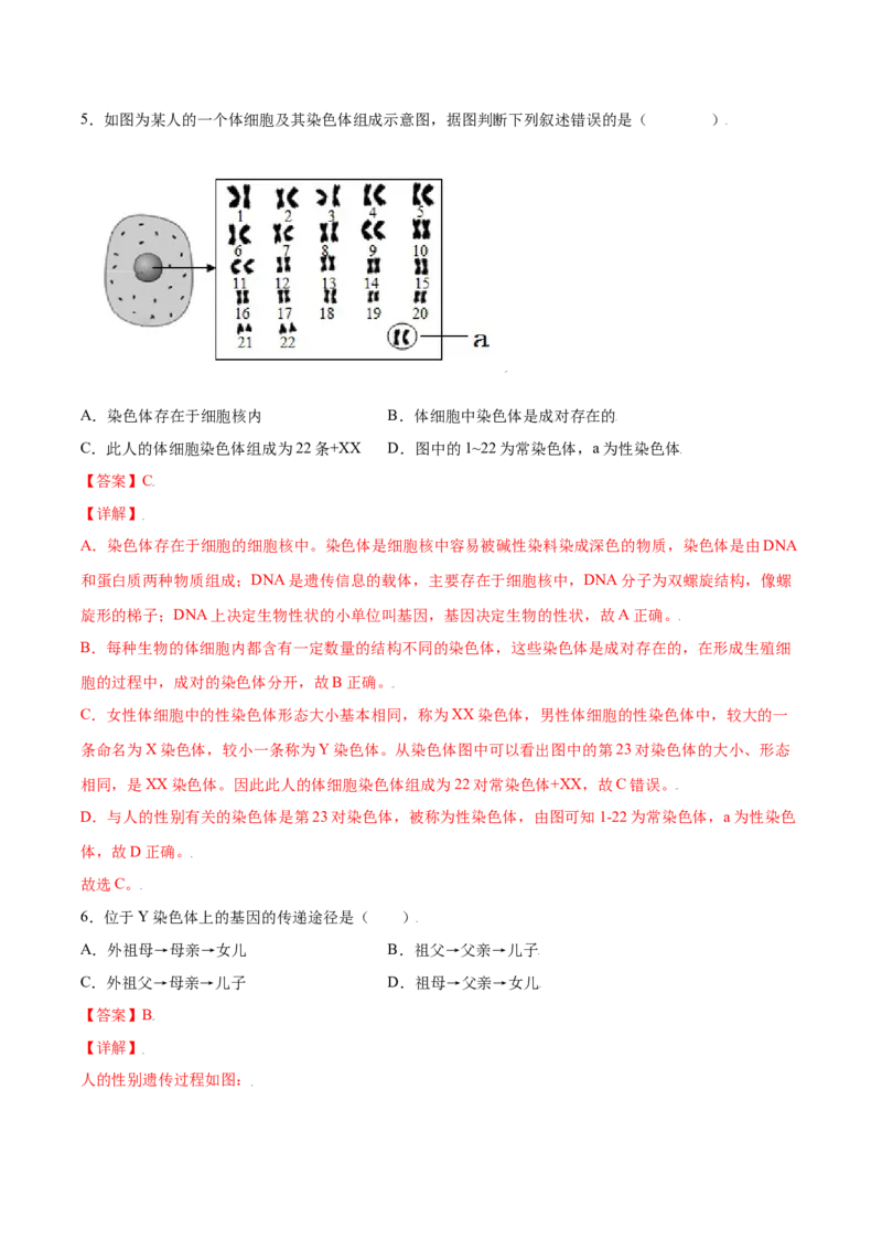 7.2.4人的性别遗传（练习）-（人教版）（解析版）_初中全科电子版试卷练习试题_生物_生物8下练习_人教生物8年级下课时练习51份