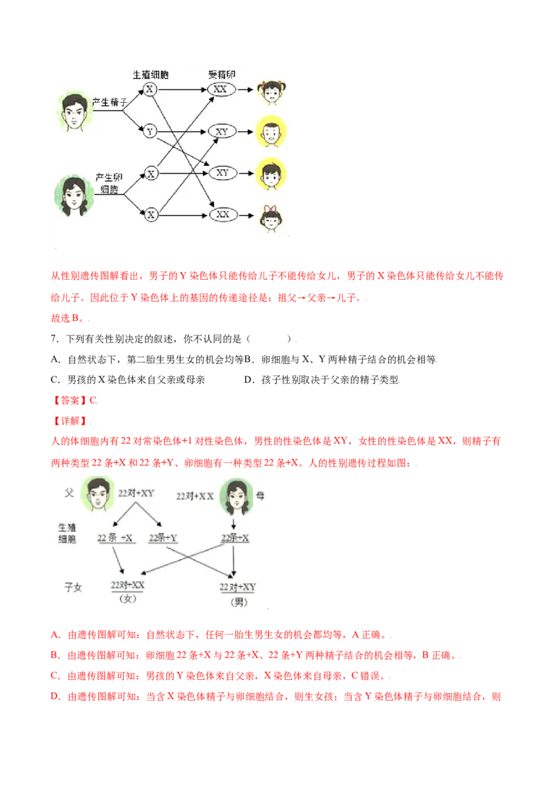 7.2.4人的性别遗传（练习）-（人教版）（解析版）_初中全科电子版试卷练习试题_生物_生物8下练习_人教生物8年级下课时练习51份