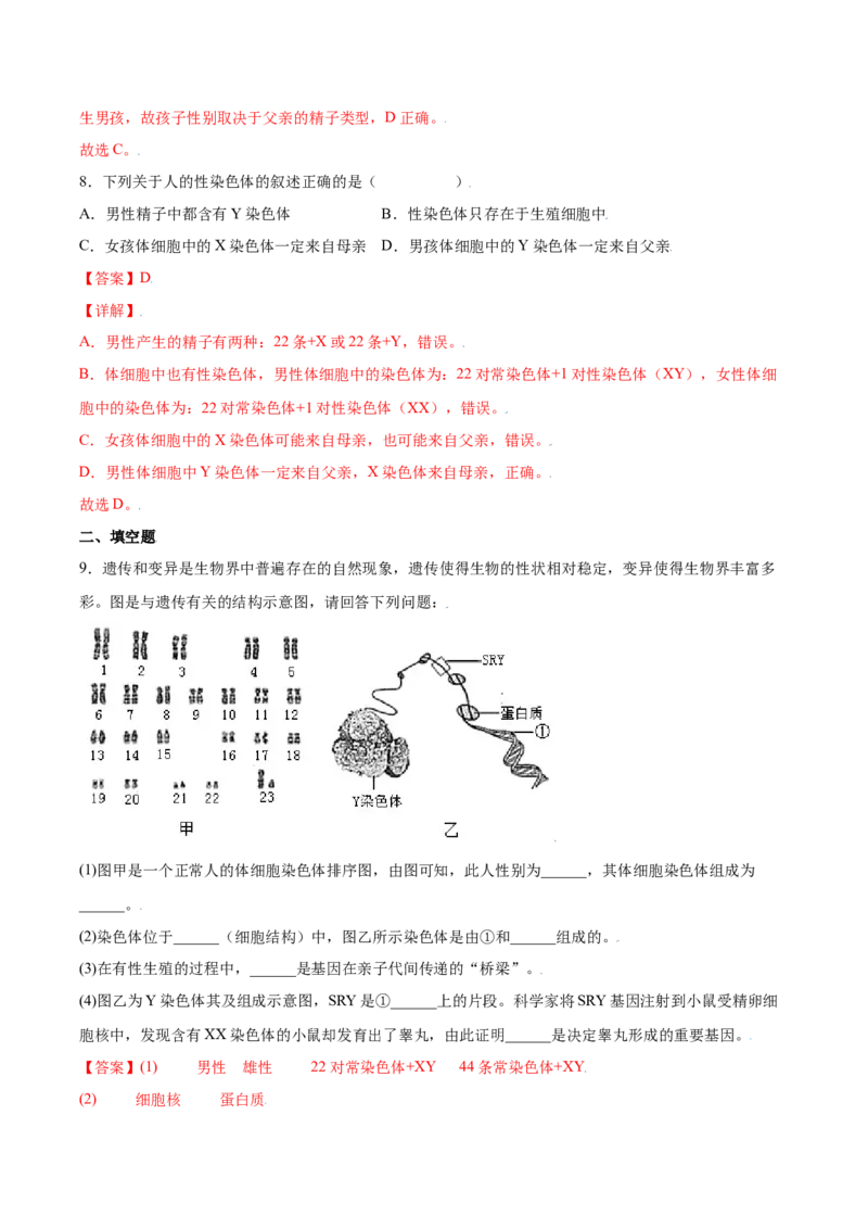 7.2.4人的性别遗传（练习）-（人教版）（解析版）_初中全科电子版试卷练习试题_生物_生物8下练习_人教生物8年级下课时练习51份