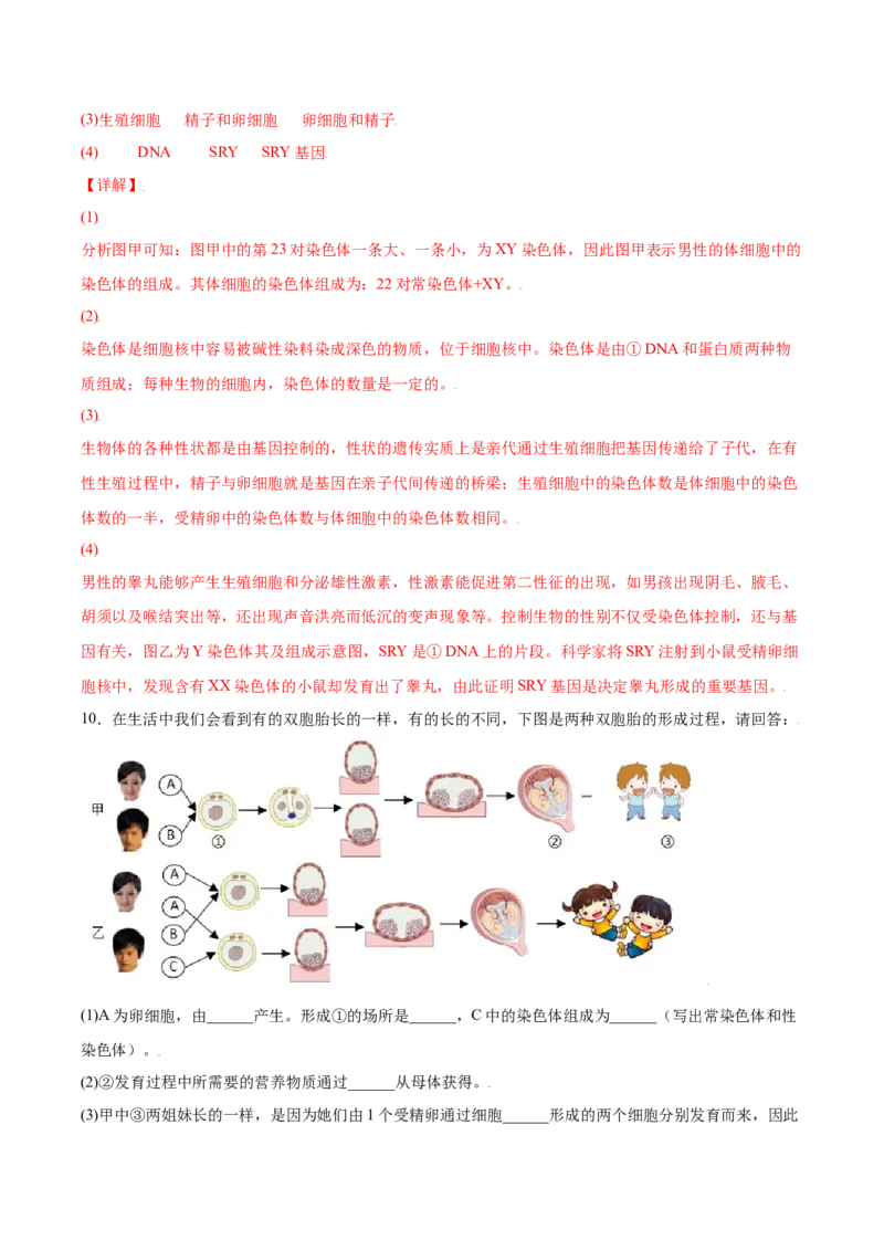 7.2.4人的性别遗传（练习）-（人教版）（解析版）_初中全科电子版试卷练习试题_生物_生物8下练习_人教生物8年级下课时练习51份