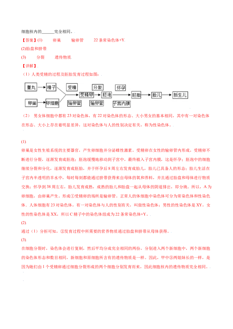 7.2.4人的性别遗传（练习）-（人教版）（解析版）_初中全科电子版试卷练习试题_生物_生物8下练习_人教生物8年级下课时练习51份