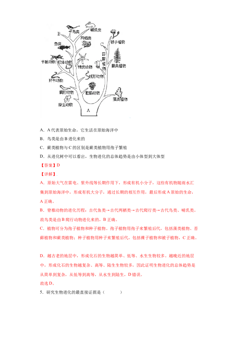 7.3.2生物进化的历程（练习）-（人教版）（解析版）_初中全科电子版试卷练习试题_生物_生物8下练习_人教生物8年级下课时练习51份