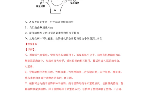 7.3.2生物进化的历程（练习）-（人教版）（解析版）_初中全科电子版试卷练习试题_生物_生物8下练习_人教生物8年级下课时练习51份