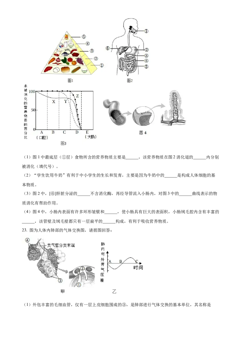 2七年级下学期期中生物试题（原卷版）_初中全科电子版试卷练习试题_生物_生物人教版7下练习_人教生物7年级下期中试卷07份