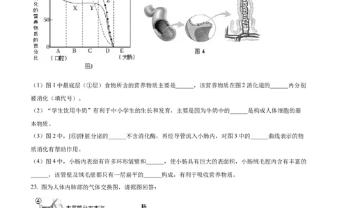 2七年级下学期期中生物试题（原卷版）_初中全科电子版试卷练习试题_生物_生物人教版7下练习_人教生物7年级下期中试卷07份