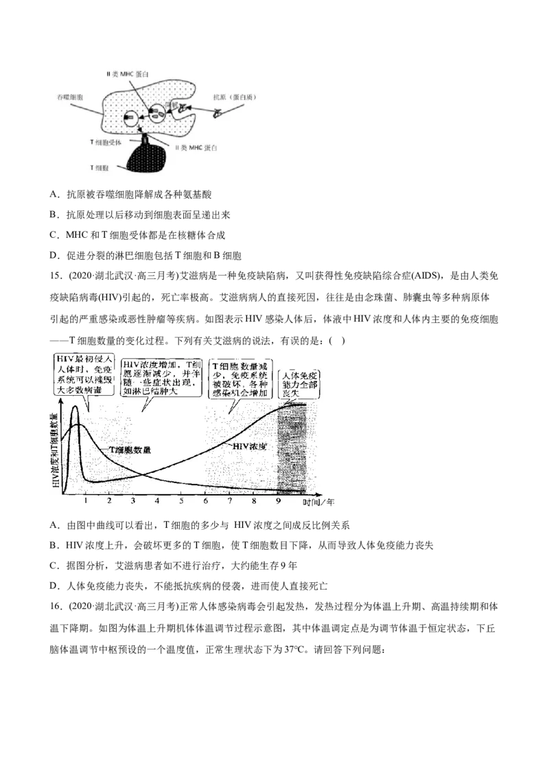 专题15免疫调节-2021年高考生物真题与模拟题分类训练（学生版）_新高考复习资料_2023年新高考复习资料_一轮复习_2023年新高考大一轮复习讲义_赠2021年高考生物真题与模拟题分类训练