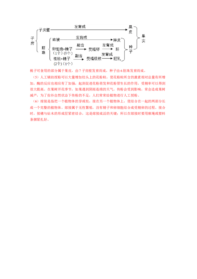 专题01植物的生殖（解析版）-2021-2022学年八年级上学期期末复习之重难点突破（人教版）_初中全科电子版试卷练习试题_生物_生物8上练习_人教生物8年级上专项练习23份