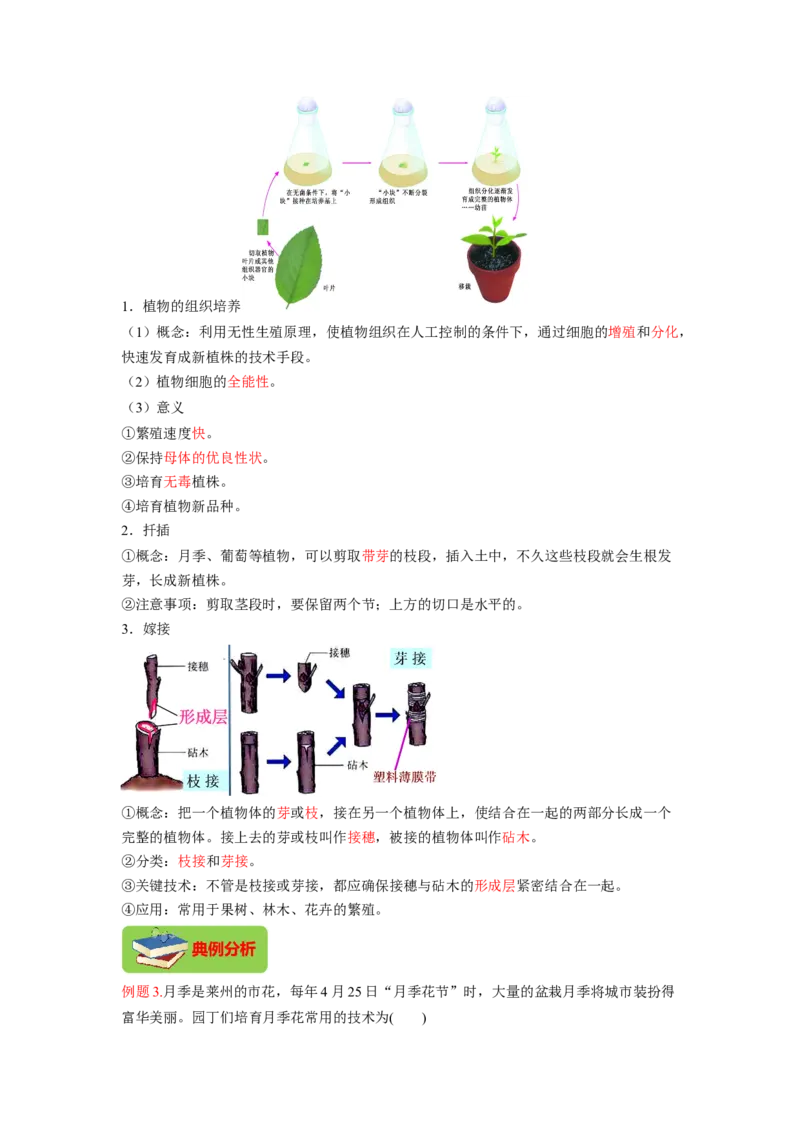 专题01植物的生殖（解析版）-2021-2022学年八年级上学期期末复习之重难点突破（人教版）_初中全科电子版试卷练习试题_生物_生物8上练习_人教生物8年级上专项练习23份