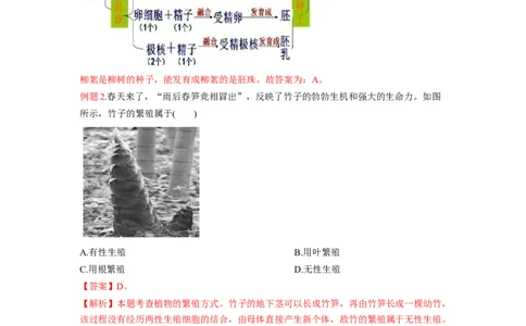 专题01植物的生殖（解析版）-2021-2022学年八年级上学期期末复习之重难点突破（人教版）_初中全科电子版试卷练习试题_生物_生物8上练习_人教生物8年级上专项练习23份