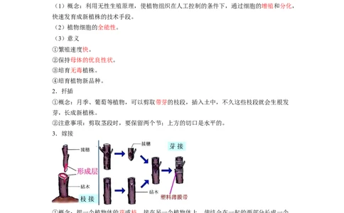 专题01植物的生殖（解析版）-2021-2022学年八年级上学期期末复习之重难点突破（人教版）_初中全科电子版试卷练习试题_生物_生物8上练习_人教生物8年级上专项练习23份