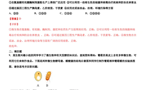 5.4.5人类对细菌和真菌的利用（练习）（解析版）_初中全科电子版试卷练习试题_生物_生物8上练习_人教生物8年级上课时练习37份
