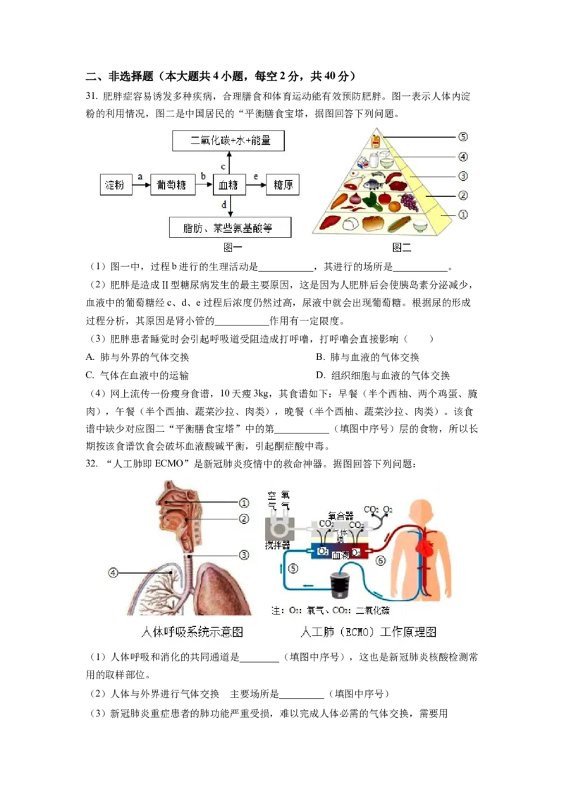 七年级下学期期末生物试题2（原卷版）_初中全科电子版试卷练习试题_生物_生物人教版7下练习_人教生物7年级下期末试卷11份