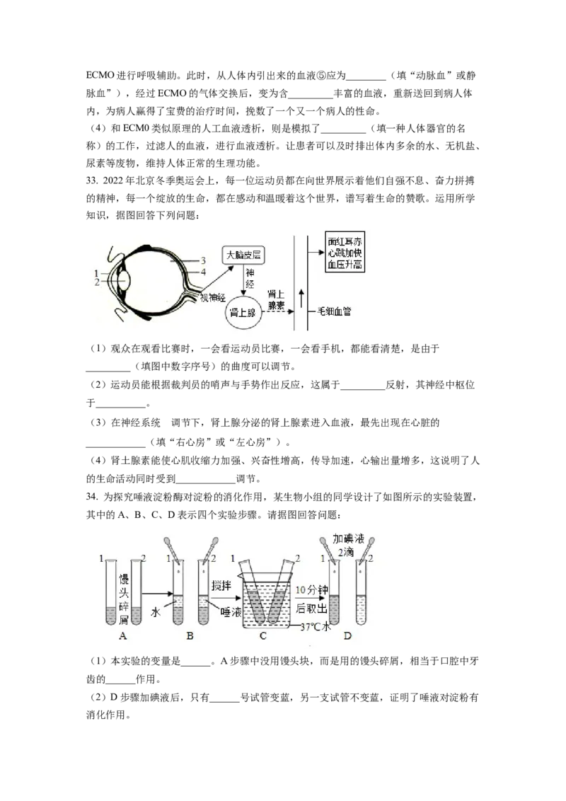 七年级下学期期末生物试题2（原卷版）_初中全科电子版试卷练习试题_生物_生物人教版7下练习_人教生物7年级下期末试卷11份