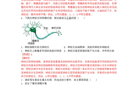 4.6.2神经系统的组成-（人教版）（解析版）_初中全科电子版试卷练习试题_生物_生物人教版7下练习_人教生物7年级下课时练习40份