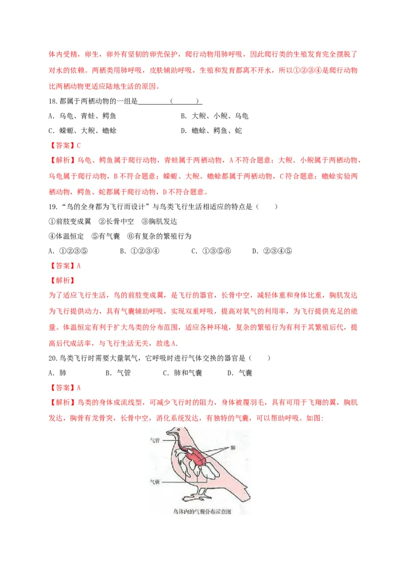 5.1章末检测（备作业）-（人教版）（解析版）_初中全科电子版试卷练习试题_生物_生物8上练习_人教生物8年级上单元试卷48份_第4套八年级生物上册单元试卷（人教版）08份