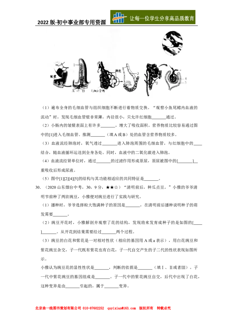 24生物&mdash;&mdash;山东省烟台市word版，含答案全解全析(1)_山东历年中考真题_山东省历年中考真题2013~2024_初中生物历年真题（2013-2024）