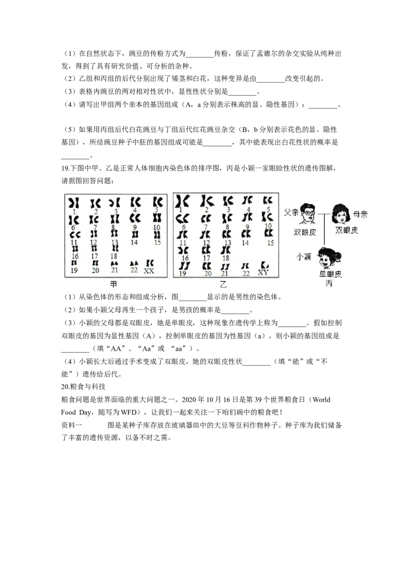 专题07生物的变异（原卷版）-2021-2022学年八年级上学期期末复习之重难点突破（人教版）_初中全科电子版试卷练习试题_生物_生物8上练习_人教生物8年级上专项练习23份