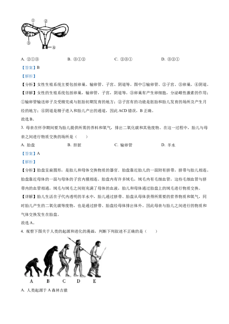 1七年级下学期期中生物试题（解析版）_初中全科电子版试卷练习试题_生物_生物人教版7下练习_人教生物7年级下期中试卷07份