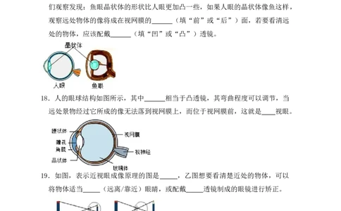 5.4眼睛和眼镜（同步练习）(原卷版)_初中全科电子版试卷练习试题_物理_8年级上册物理试题_人教版物理八年级上课时练习（104份）_课时练习第1套53