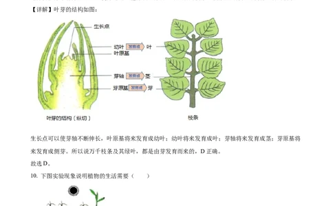 07八年级下学期期中生物试题（解析版）_初中全科电子版试卷练习试题_生物_生物8下练习_人教生物8年级下期中试卷10份