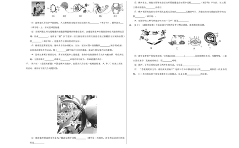 2024年中考押题预测卷02（辽宁卷）-生物（考试版A3）_初中全科电子版试卷练习试题_生物_2024中考模拟题生物(1)_押题预测