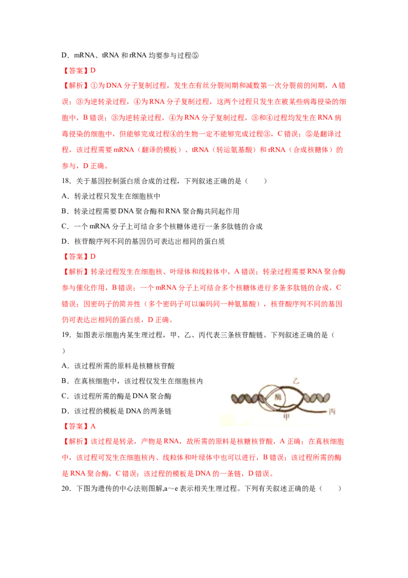 专题18基因的表达(教师版)_新高考复习资料_2023年新高考复习资料_二轮复习_增分要点2023高考生物二轮复习专题解读和分层训练291073137