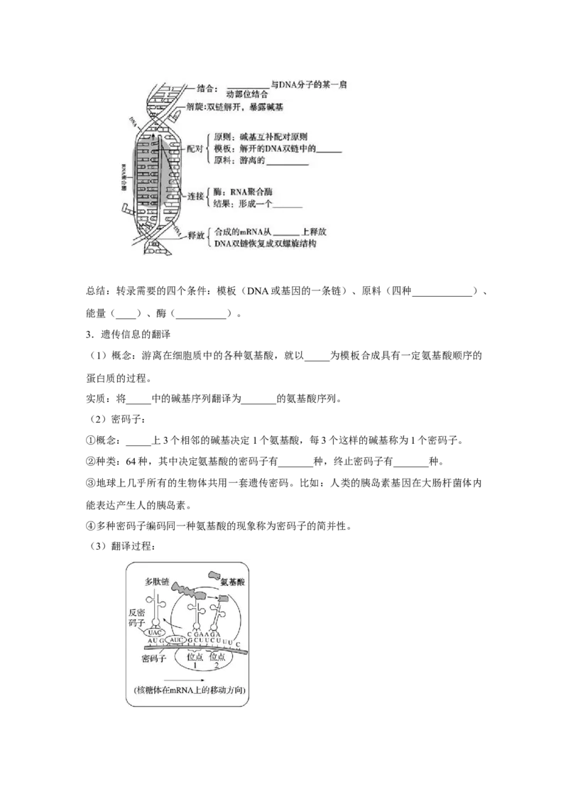 专题18基因的表达(教师版)_新高考复习资料_2023年新高考复习资料_二轮复习_增分要点2023高考生物二轮复习专题解读和分层训练291073137