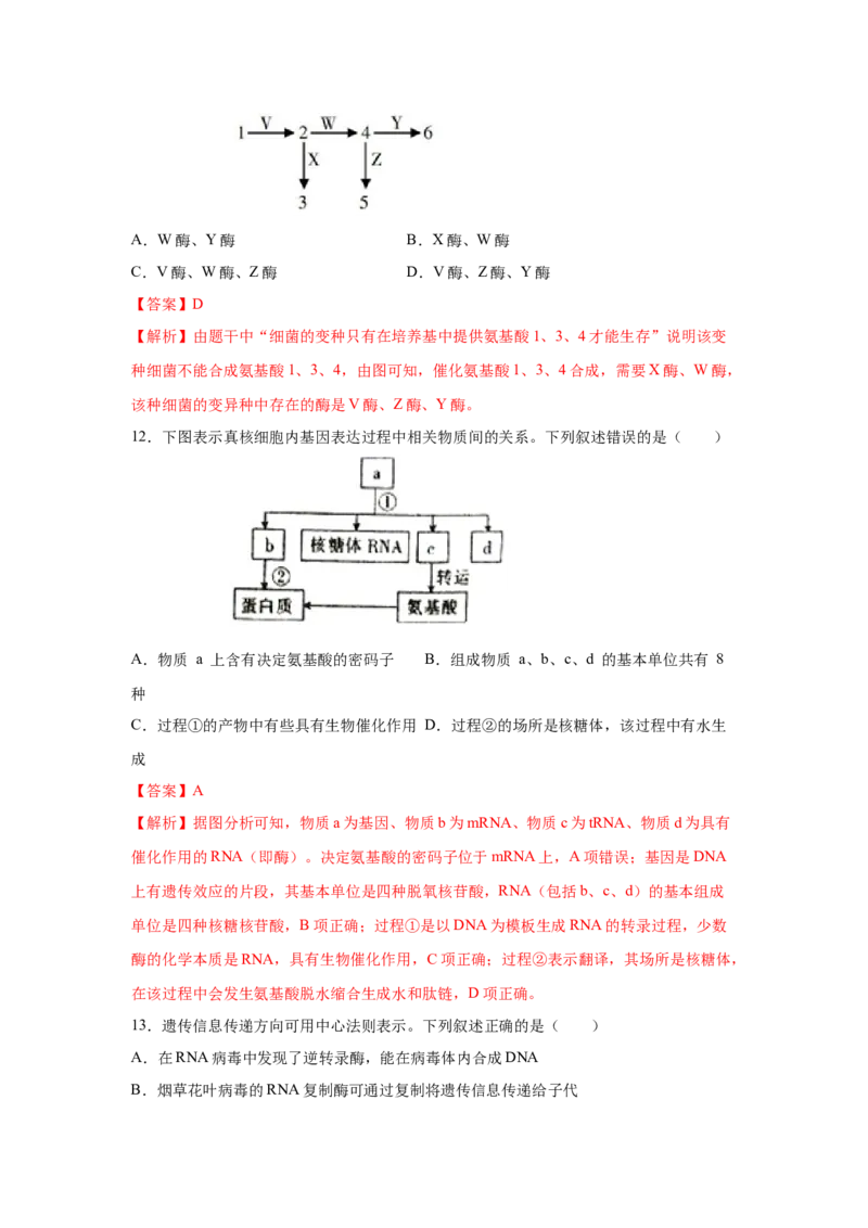 专题18基因的表达(教师版)_新高考复习资料_2023年新高考复习资料_二轮复习_增分要点2023高考生物二轮复习专题解读和分层训练291073137