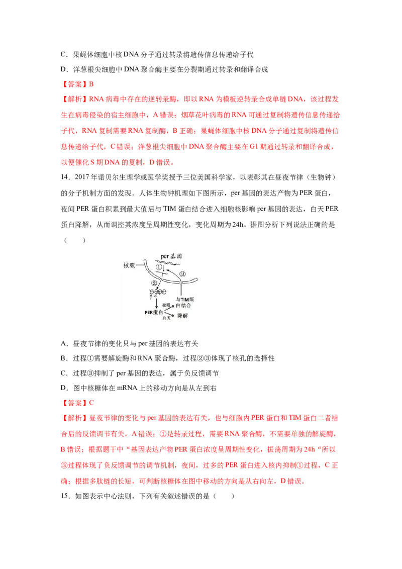 专题18基因的表达(教师版)_新高考复习资料_2023年新高考复习资料_二轮复习_增分要点2023高考生物二轮复习专题解读和分层训练291073137