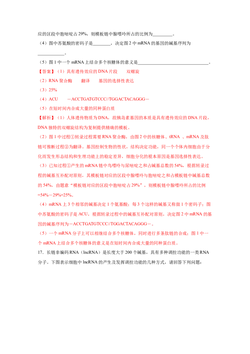 专题18基因的表达(教师版)_新高考复习资料_2023年新高考复习资料_二轮复习_增分要点2023高考生物二轮复习专题解读和分层训练291073137