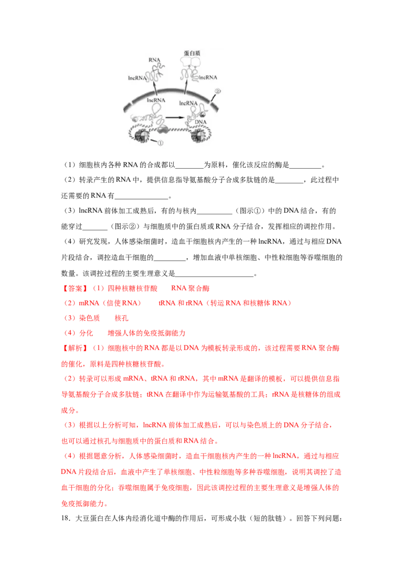 专题18基因的表达(教师版)_新高考复习资料_2023年新高考复习资料_二轮复习_增分要点2023高考生物二轮复习专题解读和分层训练291073137