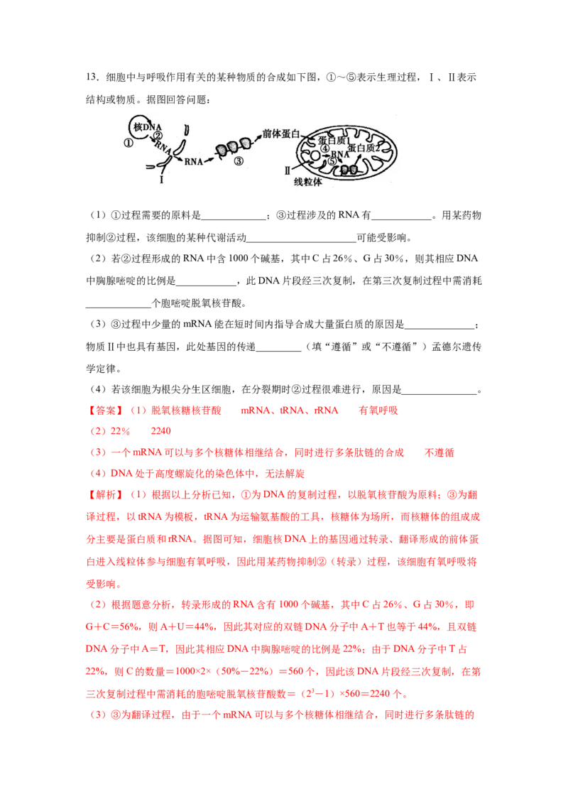专题18基因的表达(教师版)_新高考复习资料_2023年新高考复习资料_二轮复习_增分要点2023高考生物二轮复习专题解读和分层训练291073137